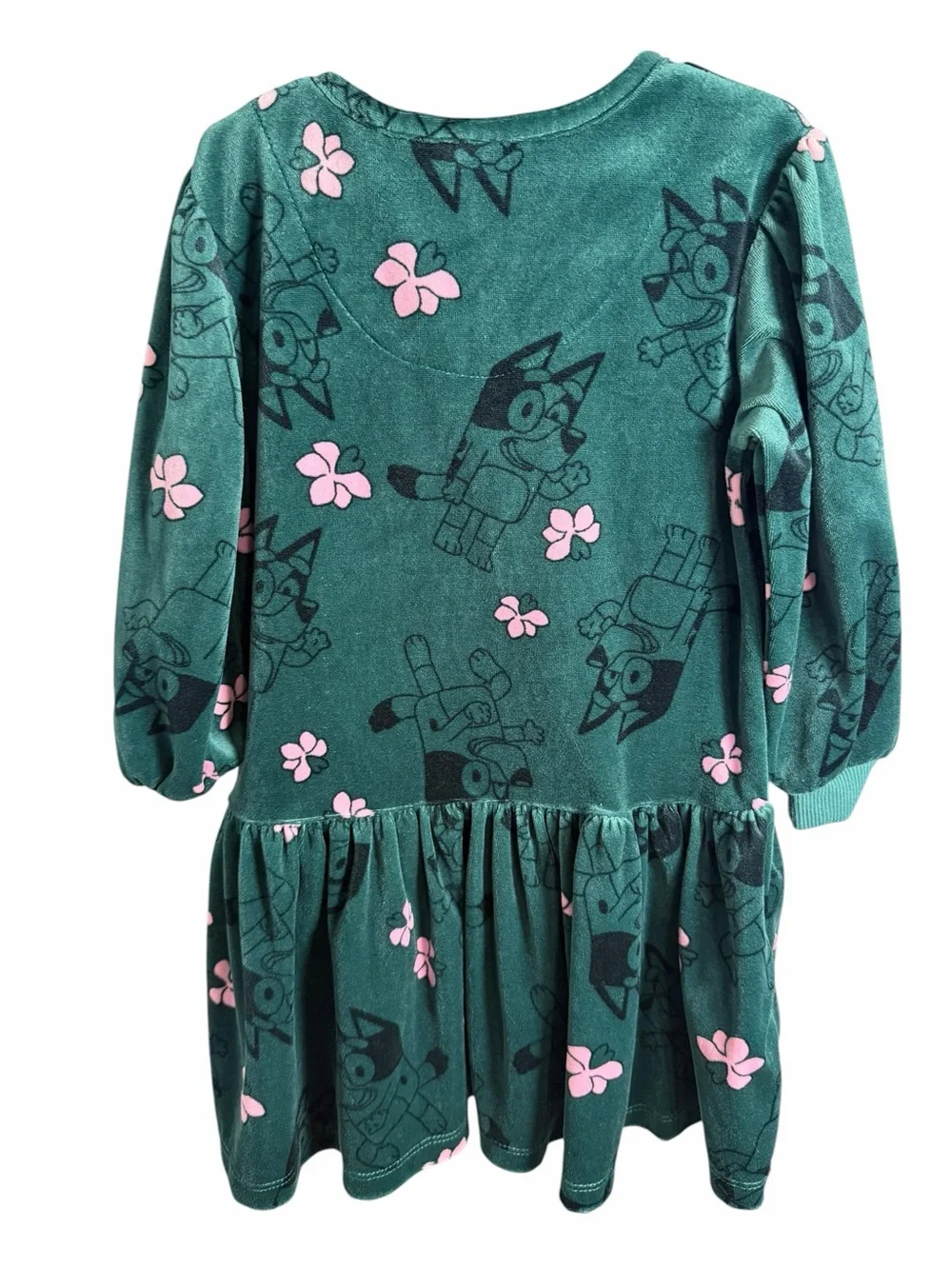 Kids Girls’s Green Floral Bluey Print Dress - Cozy Long Sleeve 4T